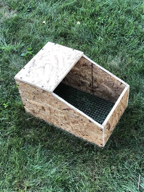 pattern for rabbit baby box out of sheet metal|diy rabbit nest box plans.